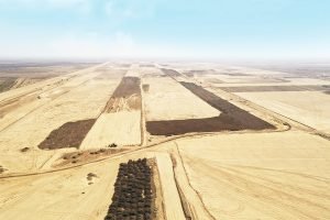 Dholera greenfield airport